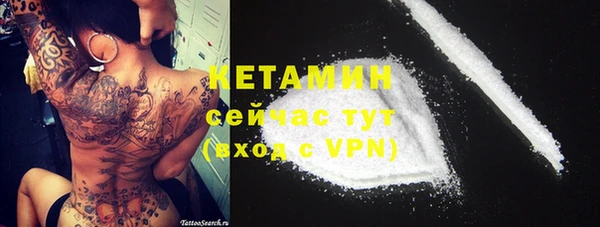 индика Волосово