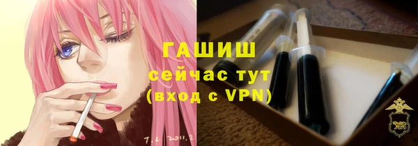 индика Волосово