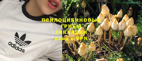 индика Волосово