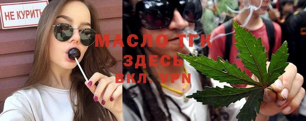 индика Волосово