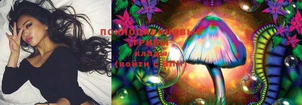 индика Волосово