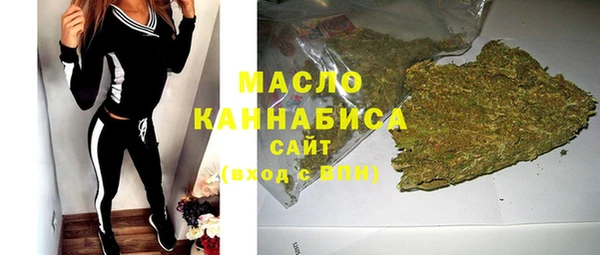 индика Волосово