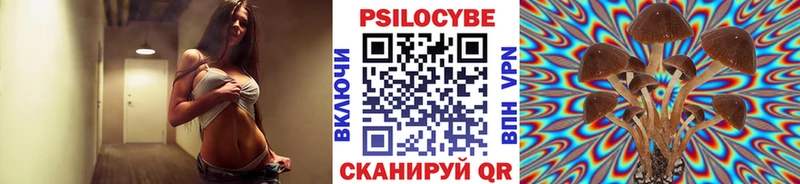 Купить  Тольятти  Псилоцибиновые грибы GOLDEN TEACHER 